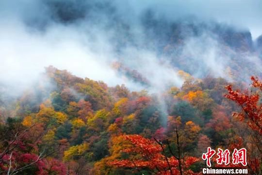 四川南江光雾山:开发与保护并重 四川南江光雾山:开发与保护并重