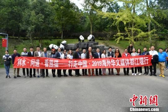 海外华媒走进中国大熊猫保护研究中心都江堰基地。 张浪 摄 海外华媒走进中国大熊猫保护研究中心都江堰基地。 张浪 摄